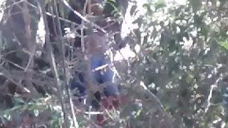 Pareja cojiendo en bosque morelia Michoacan