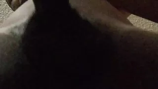 BBC Asian doggie style