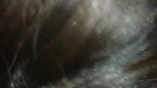 Meiner Kollegin beibringen, eine bessere Hure zu sein.