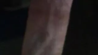 Auto, Schwuler Sex, Wald