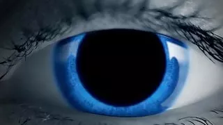 Beau Reed and Ethan Chase and Teddy Torres and William