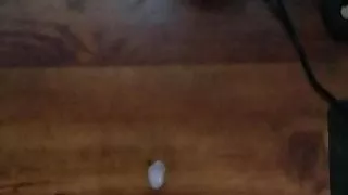 Cumshot for Cam Girl