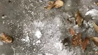 Public Pissing In The Snow