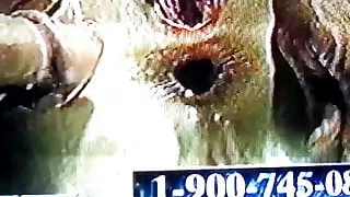 paige st claire or paige sinclair vs lexington steel trailer