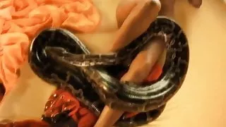 Beauty Dances Just For You