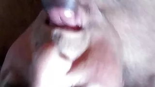 Married daddy sucks the cum and deep blow the  uncut BBC