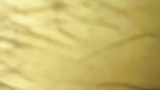 Busty Milf Brune Cheating Hotel