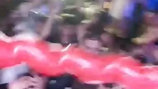 DJK - American Borderline Frenzey