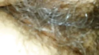 Hairy pussy may 2019