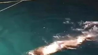 Little slut swimming at cave having fucking fun
