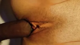 !!!!!!!must see!!!!!!!! Fred strokes  ft Sammie Thate hotel