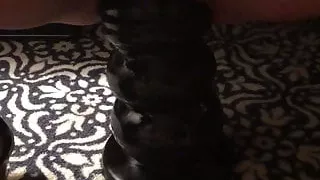 Is that what you want?