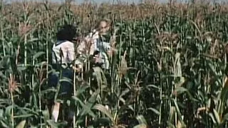 Hottest Porn Classics 19