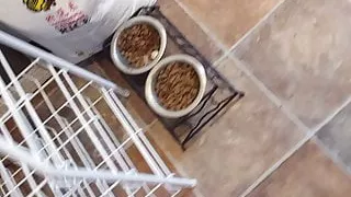 Reflection of Massive tits on bed and small view of cunt