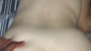 Cougar destroyed by BBC