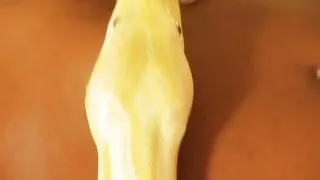 Indian Girlfriend Being Naked