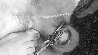 Promenade en cage dans le jardin