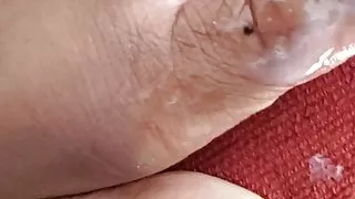 Ebony Green Fat Toes