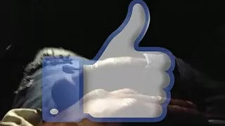 Mandinghost & Itallianna Stallionna