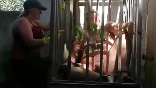 Me nidels eunuch slave