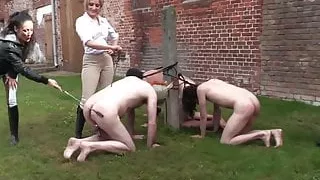 Another Day on the Farm  Pony Dressage with Three Mistresses