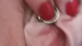 Stute zeigt die Fotze