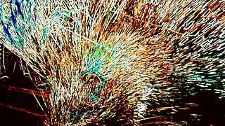 FIREBIRDS - Road to a Painting for my flaming sub S.