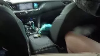Fucking  In Yhe Car