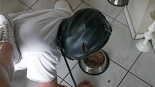 Slave and Femdom Goddess