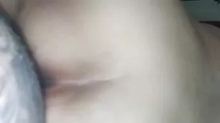 Corpus Christi cougar