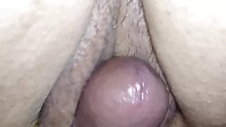 beautiful fat pussy