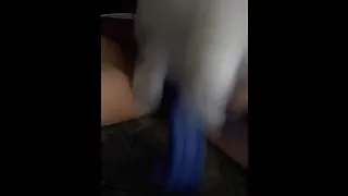 Rarity Plush ride my cock