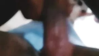 Mama Highlands Tolai