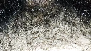How Hairy Can a Cock Be?