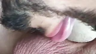 Gutaussehender alter Hengst leckt Schwanz und Eier in POV