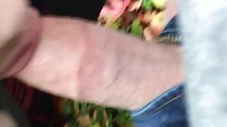 Wife sucks cock in a apple orchard