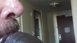 daddy bear swallows bbc