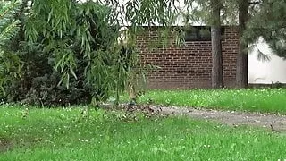 Stoodup Pissing In Public By Cute Blonde