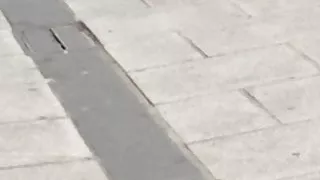 Sales Cutie in Tights 1