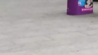 Sales Cutie in Tights 4