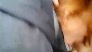 Gorgeous redhead girl fucks in nature