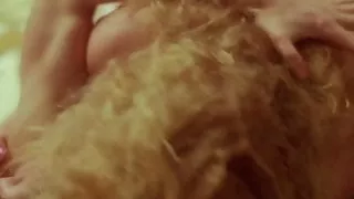 Helen Mirren Nue dans hussy (1980)