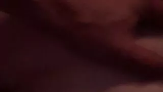 Doggystyle frenchies