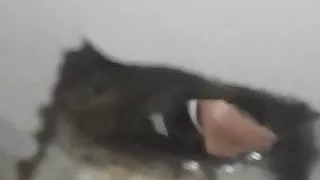 Amateursex, Latino, Masturbation