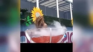 Patouses pelmata kolares