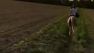 Morning hunt for the mistresses.