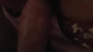 Huge dick fucking pussy slowly