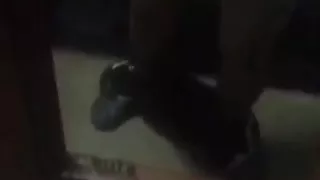 My cousin the Chubby masturbates the shower