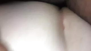 Kitten's Ass Pussy For My 50th!