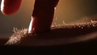 Erotic babe orally pleasured before powerful lovemaking